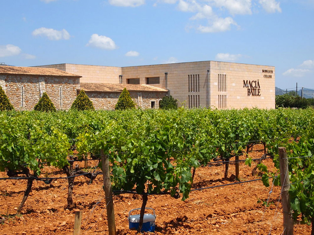 bodegues-macia-batle-chaine-rotisseurs-espana
