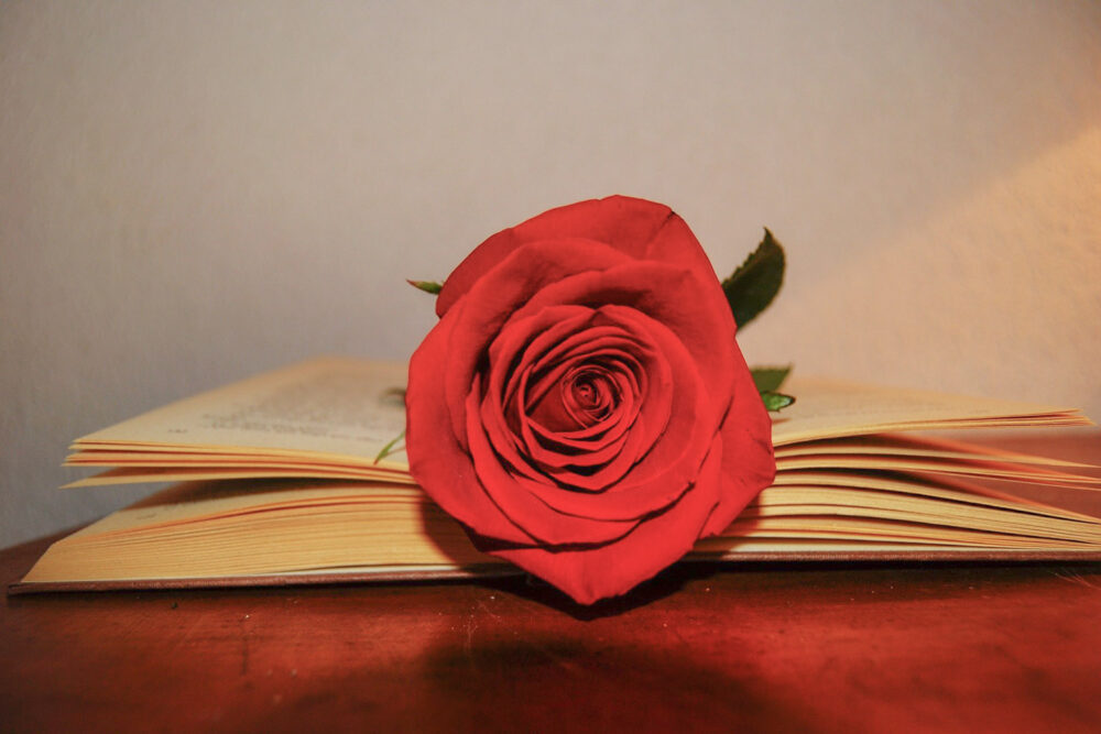 dia-mundial-chaine-day-2021-rotisseurs